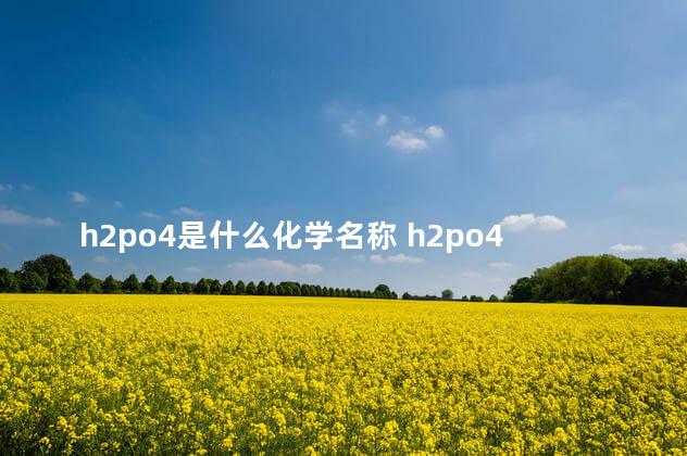 h2po4是什么化学名称 h2po4-是什么离子